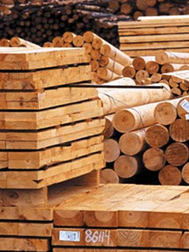 Ağaç - Orman Ürünleri